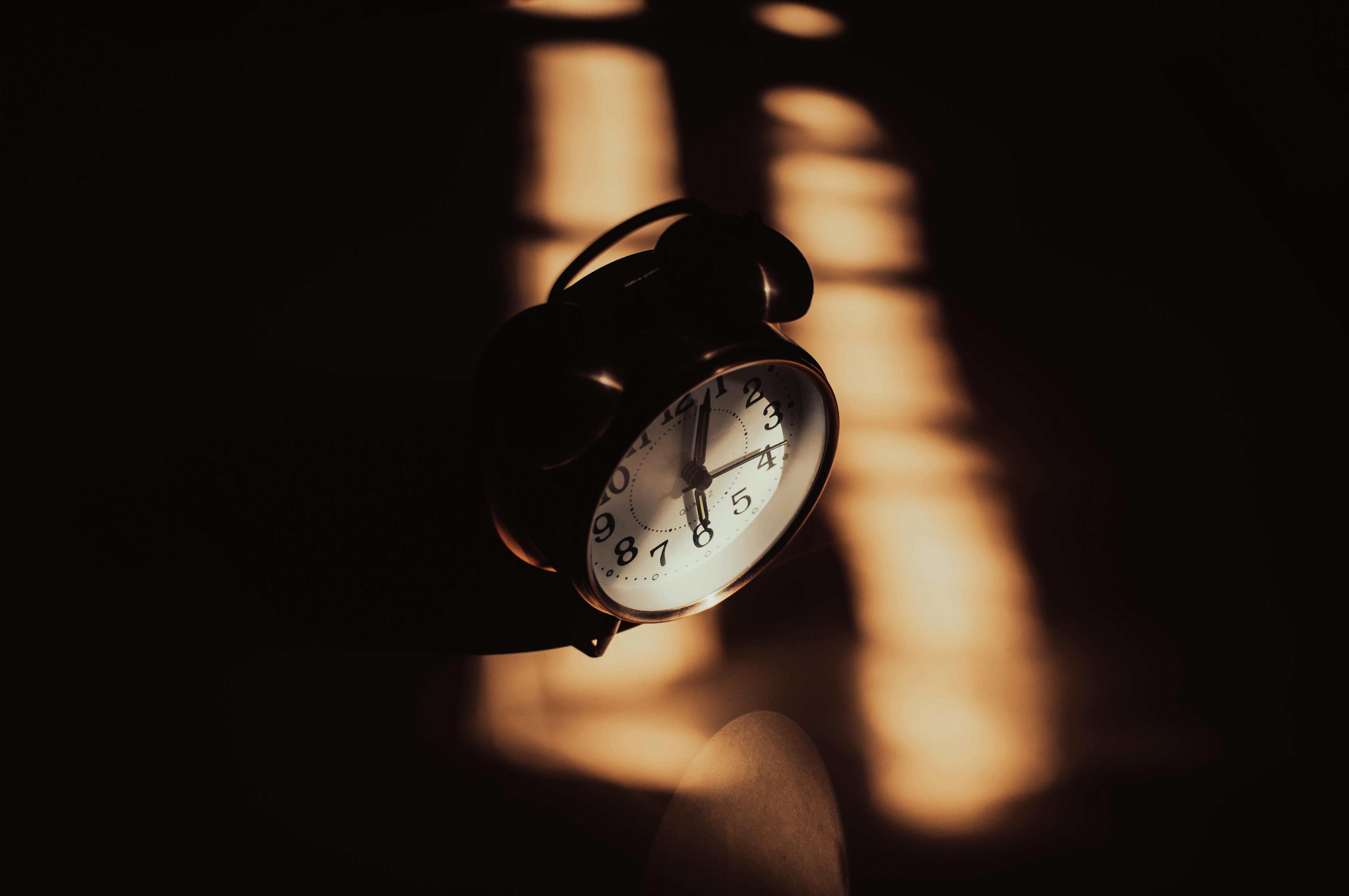 Circadian Rhythms and Meal Timing